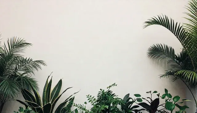 视频剪辑执行环节中的内容质量控制要点